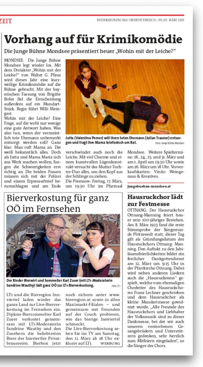 Pressebericht Bezirksrundschau